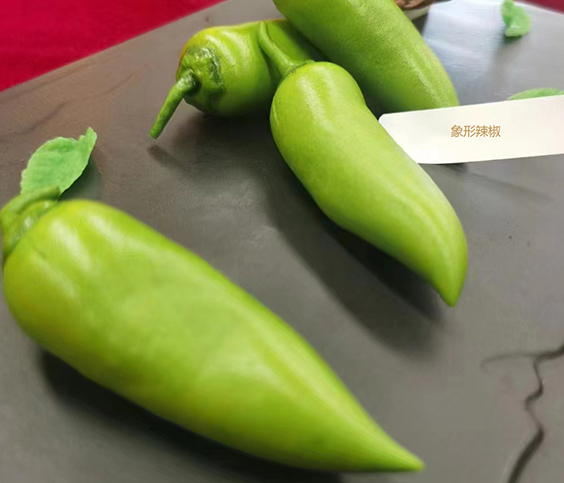 象形辣椒